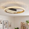Plafón LED de aro Calista, doble aro, difusor transparente, CCT 3000/4000/6000 Kelvin