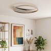 Calista plafón LED de techo redondo 52 cm para salón y dormitorio moderno