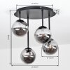 Chehalis plafón de techo 4 luces G9 con pantallas de globo, estilo retro