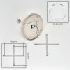 Koyoto plafón de techo 5 luces E14, pantallas esféricas, Ø 45 cm, salón