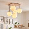 Gastor plafón de techo de bolas, lámpara de techo 5 luces para salón