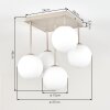 Gastor plafón de techo de bolas, lámpara de techo 5 luces para salón