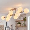 Koyoto plafón de techo 10 luces con globos, lámpara de techo moderna