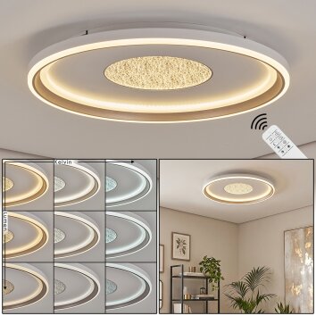 Plafón LED Orvix redondo Ø 59 cm con mando a distancia, diseño moderno