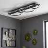 Kordex plafón LED moderno con aros luminosos superpuestos, luz 4000 Kelvin
