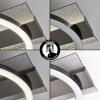 Kordex plafón LED moderno con aros luminosos superpuestos, luz 4000 Kelvin