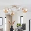 Chehalis plafón de techo 6 luces G9, diámetro 64 cm, globos curvados