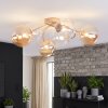 Chehalis plafón de techo 6 luces G9, diámetro 64 cm, globos curvados