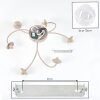 Chehalis plafón de techo 6 luces G9 Ø 64 cm con brazos curvos y esferas