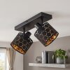 Alsen plafón de techo de 2 luces, lámpara de techo E14 con cabezales orientables