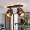 Alsen plafón de techo de 2 luces, lámpara de techo E14 con cabezales orientables