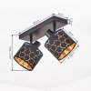 Alsen plafón de techo de 2 luces, lámpara de techo E14 con cabezales orientables