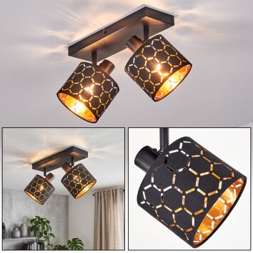 Alsen plafón de techo de 2 luces, lámpara de techo E14 con cabezales orientables