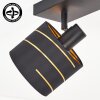 Spot de techo Alsen, dos pantallas negro-doradas orientables para pasillo y entrada