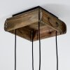 Avestruz lámpara colgante de techo 4 luces, longitud 20 cm, base rectangular