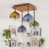 Koyoto lámpara de techo 4 luces E14 con pantallas globo para salón boho retro