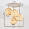 Basto plafón de techo de 4 luces con pantallas globo trenzadas, estilo boho