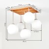 Gastor lámpara de techo con globos, 5 luces y estructura de lamas boho para salón