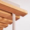 Koyoto lámpara de techo, plafón de techo 4 luces con pantallas esféricas