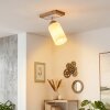 Alvorn plafón orientable E27 con foco giratorio y pantalla cilíndrica