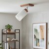 Spot de techo Alvorn estilo boho con foco cilíndrico orientable y pantalla de vidrio blanca