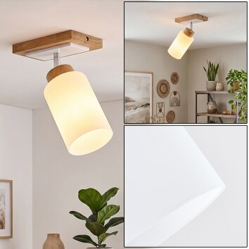 Spot de techo Alvorn estilo boho con foco cilíndrico orientable y pantalla de vidrio blanca