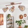 Moderno Spot techo Keldor, jaula de tres pantallas con estructura marrón y focos orientables