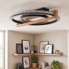LED Plafón Selani con anillos concéntricos entrelazados en marrón oscuro, 2700–6500 Kelvin