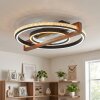 LED Plafón Selani con anillos concéntricos entrelazados en marrón oscuro, 2700–6500 Kelvin