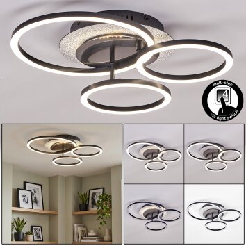 Plafón LED Kordex de techo con 3 aros orientables, luz blanca neutra moderna