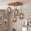 Gastor lámpara de techo 4 luces con pantallas globo para salón y dormitorio