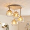 Koyoto plafón de techo redondo 4 luces, lámpara de techo con tulipas esféricas
