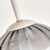 Plafón de esferas Koyoto moderno con 4 pantallas de vidrio ahumado ø 15 cm