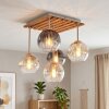 Koyoto lámpara de techo de 5 luces con globos colgantes para salón
