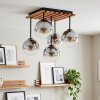 Gastor lámpara de techo 5 luces E14 con pantallas esféricas estilo boho retro