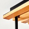 Gastor lámpara de techo de 5 luces con pantallas globo para salón y comedor