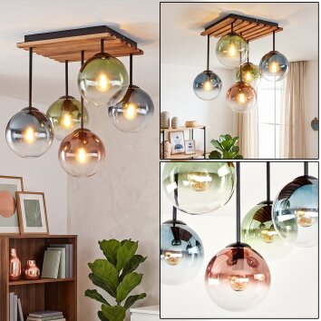 Gastor plafón de techo de 5 luces con pantallas esféricas para salón