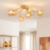 Chehalis plafón de techo de 6 luces G9, globos y brazos curvos, ø 58 cm