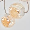 Chehalis plafón de techo de 6 luces G9, globos y brazos curvos, ø 58 cm