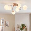 Chehalis plafón de techo de bolas, lámpara de techo G9 de 6 luces, Ø 58 cm