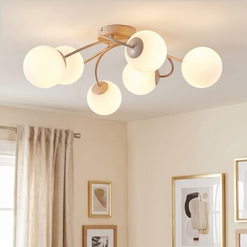Chehalis plafón de techo de bolas, lámpara de techo G9 de 6 luces, Ø 58 cm