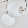 Chehalis plafón de techo y lámpara de techo, 6 luces G9, globos curvos