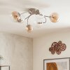 Chehalis lámpara de techo 6 luces G9, Ø 58 cm, brazos curvados modernos