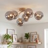 Chehalis plafón de techo 6 luces G9 con bolas y brazos curvos, ø 64 cm