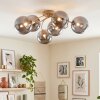 Chehalis plafón de techo 6 luces G9 con bolas y brazos curvos, ø 64 cm