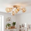 Chehalis lámpara de techo con globos, plafón de techo de 6 luces G9, ø 64 cm