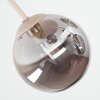 Chehalis plafón de techo 5 luces G9, lámpara de techo con globos Ø 43 cm