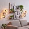 Aplique de pared Koyoto, set de 2, con 3 globos de vidrio ahumado, ámbar y transparente