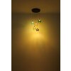 NOWA Minara lámpara de techo colgante LED moderna Ø 43 cm 3300 lm 3000 K