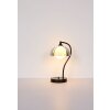 NOWA Eva lámpara de pared aplique mural curvado G9 moderno para salón y comedor